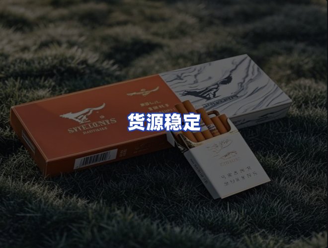 专业团队